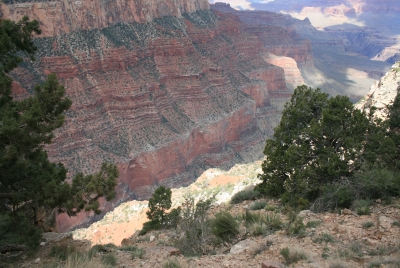 Grand Canyon 2008